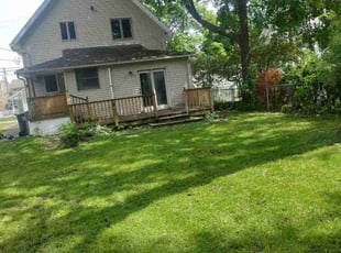 Michelle D.'s grass cutting service result