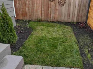 Ivan S.'s lawn care service result