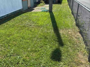 Terrie W.'s grass cutting service result
