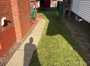 Christelle L.'s lawn care services service result