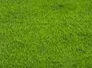 Lav G.'s turf maintenance service result