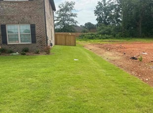 Mary H.'s grass maintenance service result