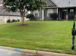 Kaitlynn W.'s turf care service result