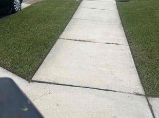 Brett D.'s turf care service result