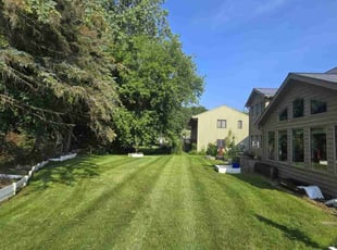 Trey C.'s grass maintenance service result