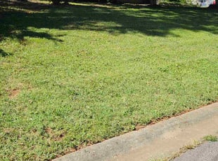 Deborah J.'s lawn care service result