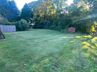 Alex G.'s grass maintenance service result