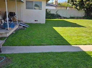 Irving J.'s lawn service service result
