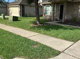 Tawanna M.'s turf maintenance service result