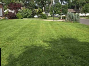 Jarek V.'s lawn service service result
