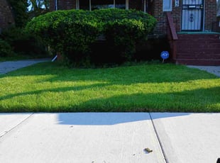 Renita J.'s Bush Trimming service result