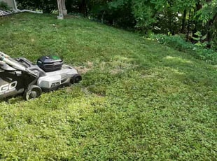 Trevor A.'s lawn service service result