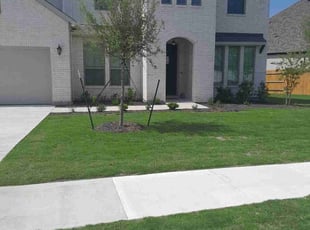 Randy W.'s lawn maintenance service result