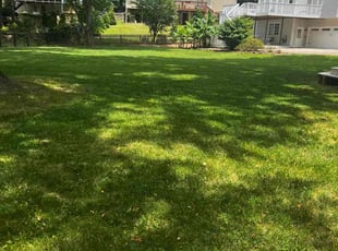 Carlito C.'s lawn care service result