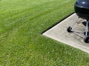 Meghan S.'s lawn care services service result