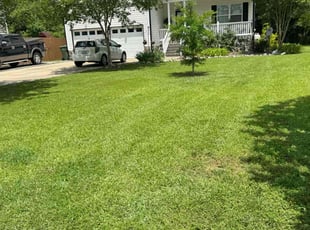 Faith E.'s grass maintenance service result