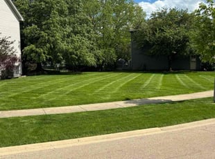 David P.'s lawn maintenance service result