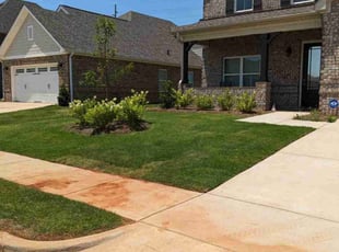 Alan S.'s grass cutting service result