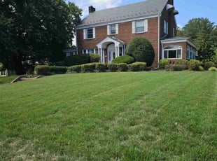 Gregory E.'s turf care service result