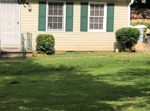 Raymond L.'s lawn care services service result