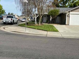 Colleen O.'s turf maintenance service result