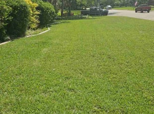 Patrick P.'s lawn maintenance service result