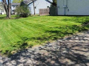 Kimberley M.'s turf care service result