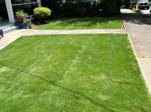 Elizabeth K.'s landscape maintenance service result