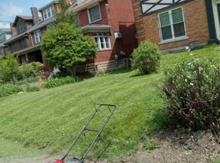 Shreerang D.'s lawn care service result
