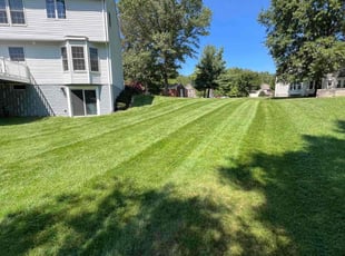 Jennifer N.'s turf care service result