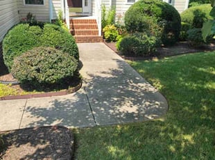 Dan M.'s lawn maintenance service result