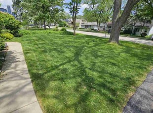 Art A.'s turf maintenance service result