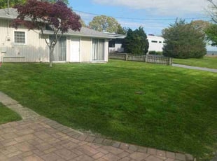 Marcus F.'s grass maintenance service result
