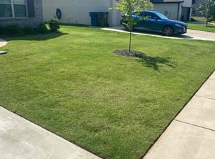 Jessica K.'s lawn care services service result