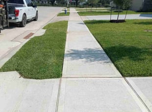 Rosam Usha W.'s turf care service result