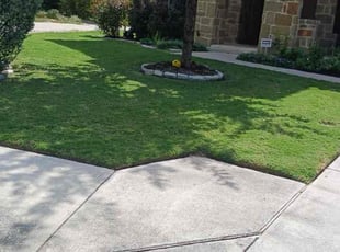 Donya G.'s lawn maintenance service result
