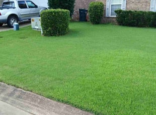 Christina H.'s lawn care service result