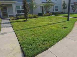 Christina S.'s lawn maintenance service result