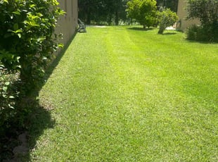 Eddie R.'s lawn care services service result