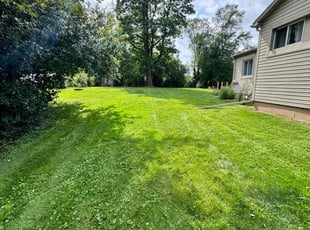 Keena M.'s grass cutting service result