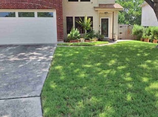 Nichlas P.'s lawn maintenance service result