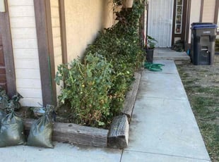 Jerry C.'s Bush Trimming service result