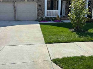Kamari E.'s turf maintenance service result