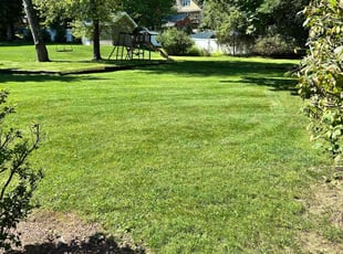 Kevin B.'s grass cutting service result