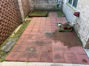 Phillip H.'s lawn service service result