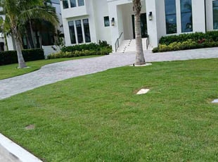 Allante C.'s lawn care services service result