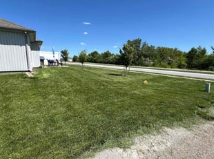 Stacy M.'s turf maintenance service result
