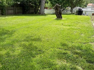 David S.'s lawn maintenance service result