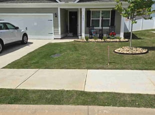 Tony C.'s lawn care services service result