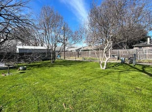 Antonio H.'s lawn service service result